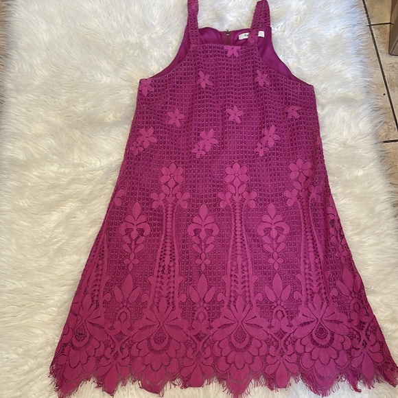 Francesca's Collections Dresses & Skirts - Francesca’s Mini Lace Dress